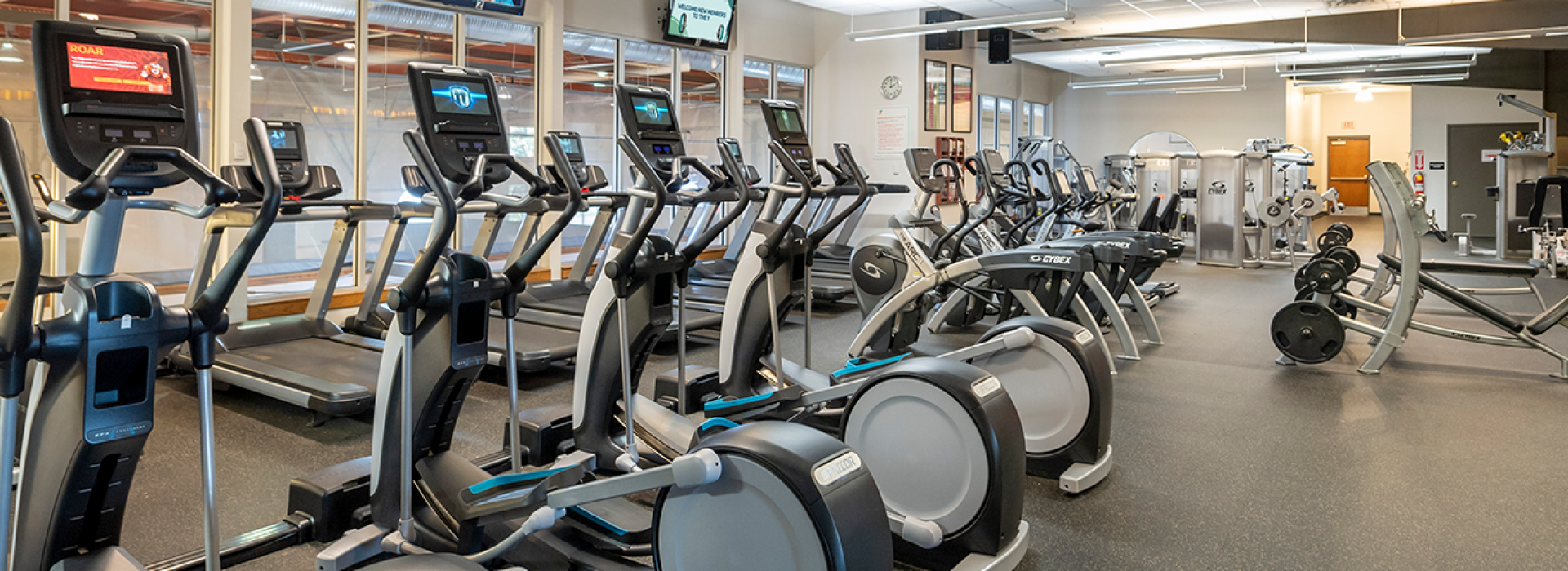 Ellipticals lined up
