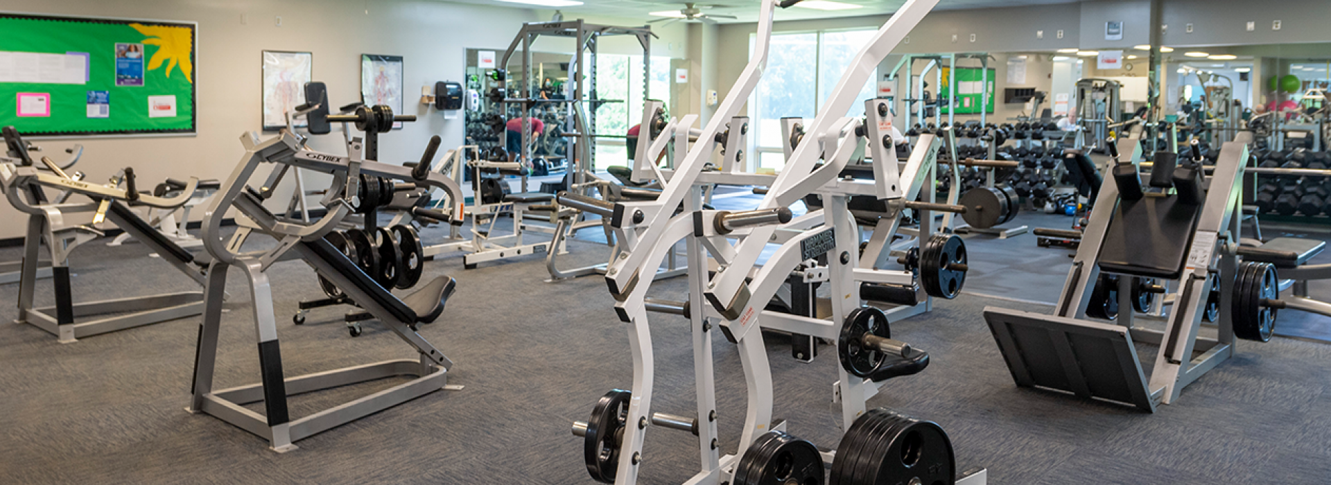 Strength equipment on the wellness floor