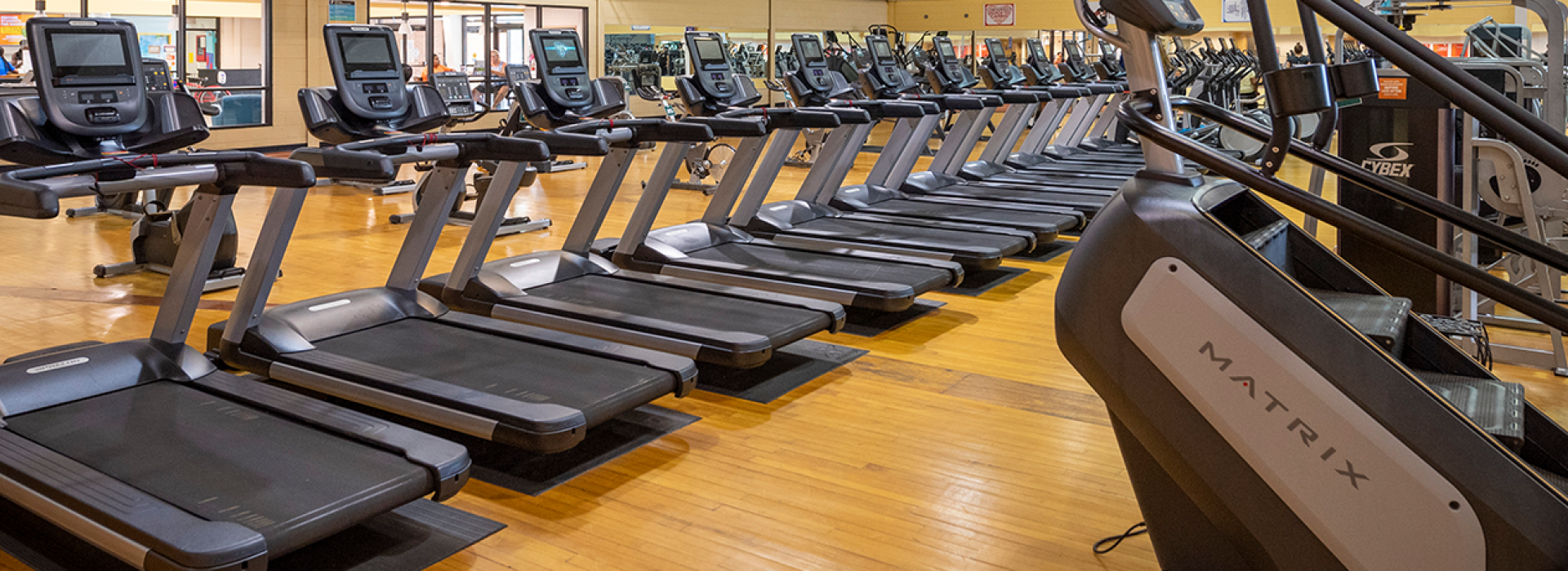 Row of treadmills