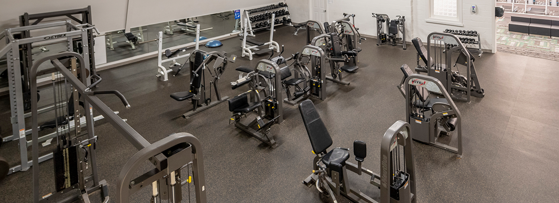 Strength equipment on wellness floor